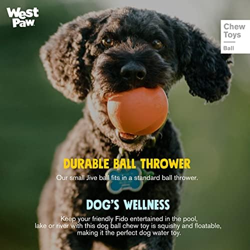 Дъвченето играчка за кучета WEST PAW Zogoflex Jive Ball – Подскачащи играчки за кучета, които канят, Ловящие,
