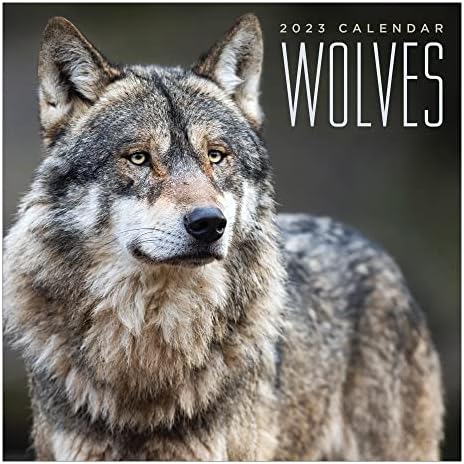 Мини-Календар TF PUBLISHING Wolves 2023/2023 Стенен Календар за 12 месеца | С голяма мрежа 2023 Стенен Календар