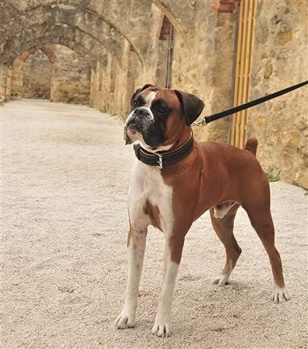 Нашийник за кучета Dean & Tyler Italian Tailor кафяв цвят, с черна подплата и обкова от хромирана стомана, размер
