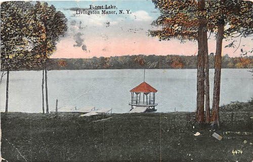 Ливингстън-Manor, Ню Йорк, Пощенска Картичка