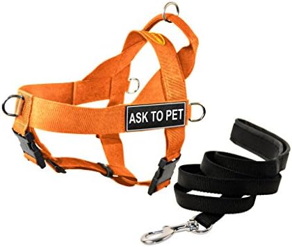 Универсална Шлейка за кучета Dean & Tyler DT без Сцепление с Ивици Ask to Pet и Каишка за Кученца, Оранжева,
